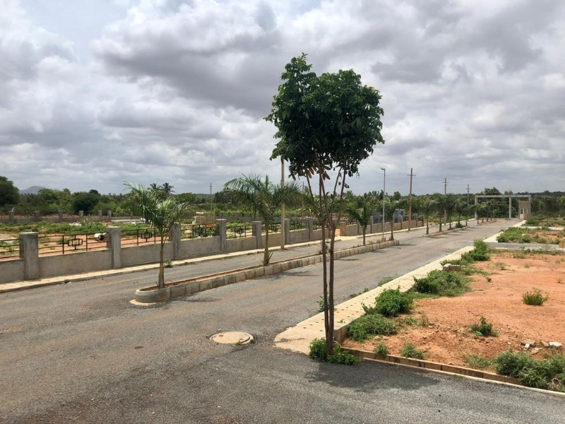 Sonata City View 5