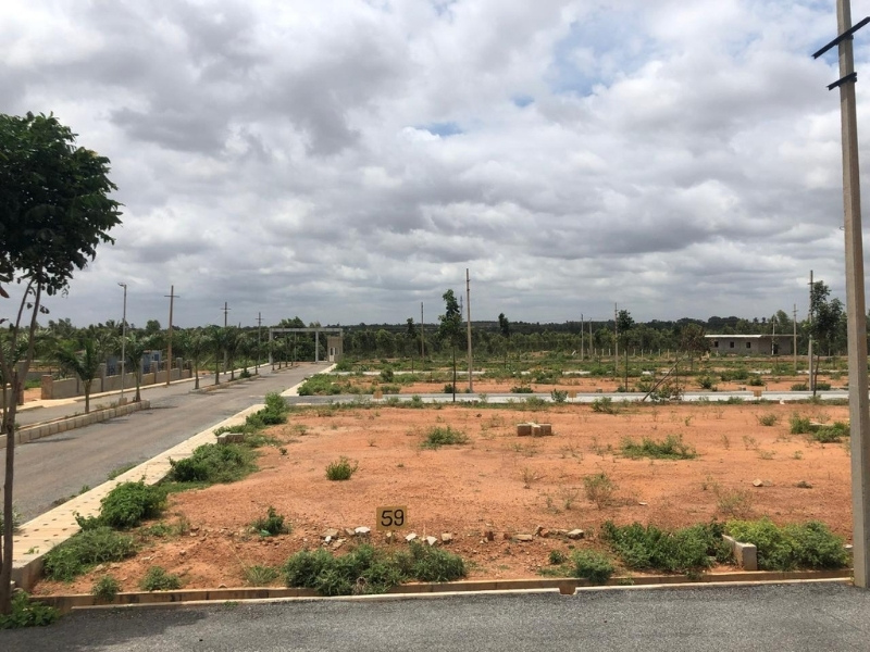 Sonata City View 6
