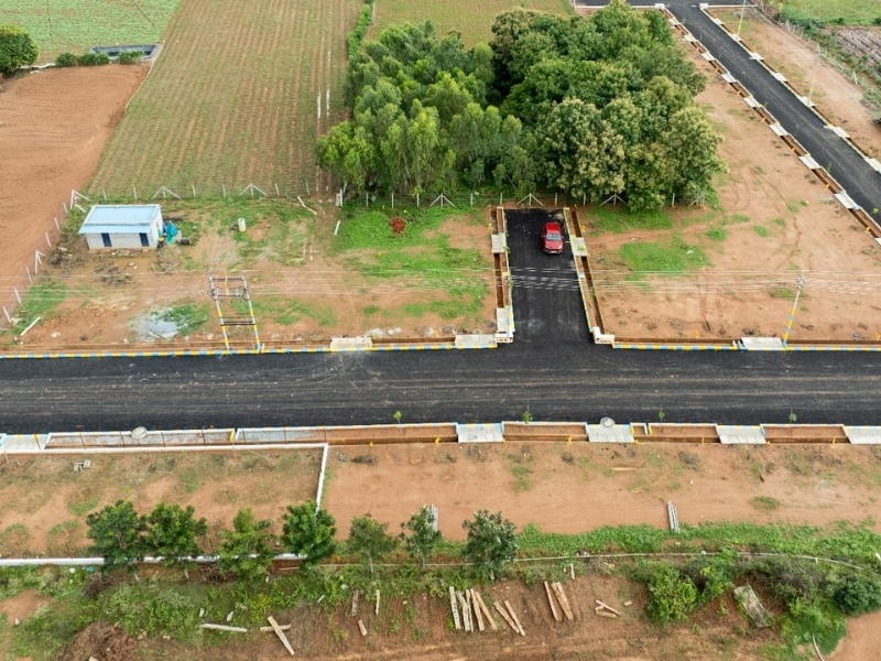 Additional View 7