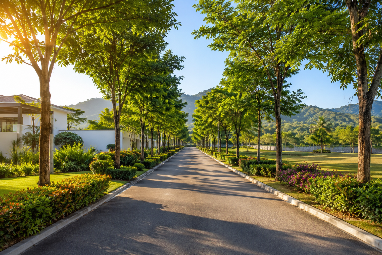 Tree-lined plotted development road